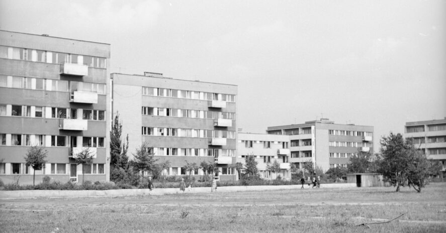 FOT. GRAŻYNA RUTOWSKA (1972)